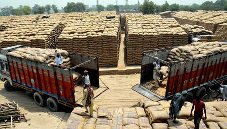 پنجاب حکومت نے ساڑھے 32 لاکھ میٹرک ٹن گندم خرید لی، 91 فیصد سے زائد باردانہ تقسیم