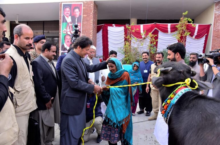 خواتین کو گھر چلانے کیلئے ایک گائے ،ایک بھینس اور تین بکریاں دیں گے:  وزیر اعظم عمران خان
