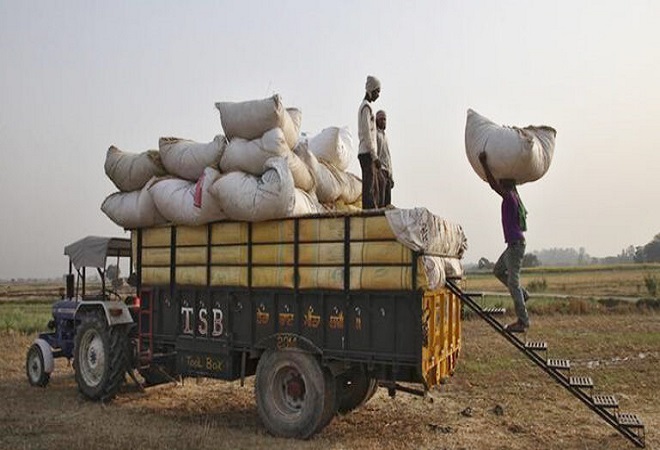 کورونا وائرس، سندھ میں لاک ڈاؤن کے باعث ٹرانسپورٹ بند، کسانوں کو گندم خریداری سینٹرز تک لے جانے میں مشکلات