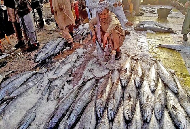 کورونا کا خدشہ، کراچی بندر گاہ کی حدود میں مچھلی کی تجارت پر پابندی