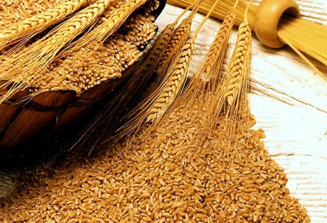 مہنگی کھادوں، ڈیزل کی وجہ سے لاگت میں اضافہ اور زیرِ کاشت رقبے میں کمی، گندم کی پیداوار ہدف سے کم رہنے کا امکان