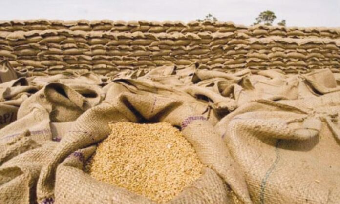 تاریخی پیداوار کے باوجود مزید 10 لاکھ ٹن گندم درآمد کرنے کی منظوری