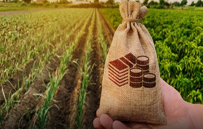 مالی سال 2023ء میں کتنے کھرب روپے کے زرعی قرضے فراہم کیے گئے؟